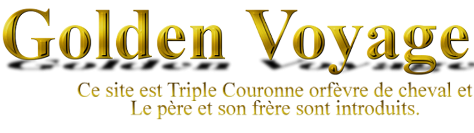 golden voyage���S