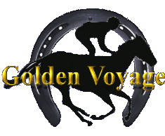 ���S�}�[�N